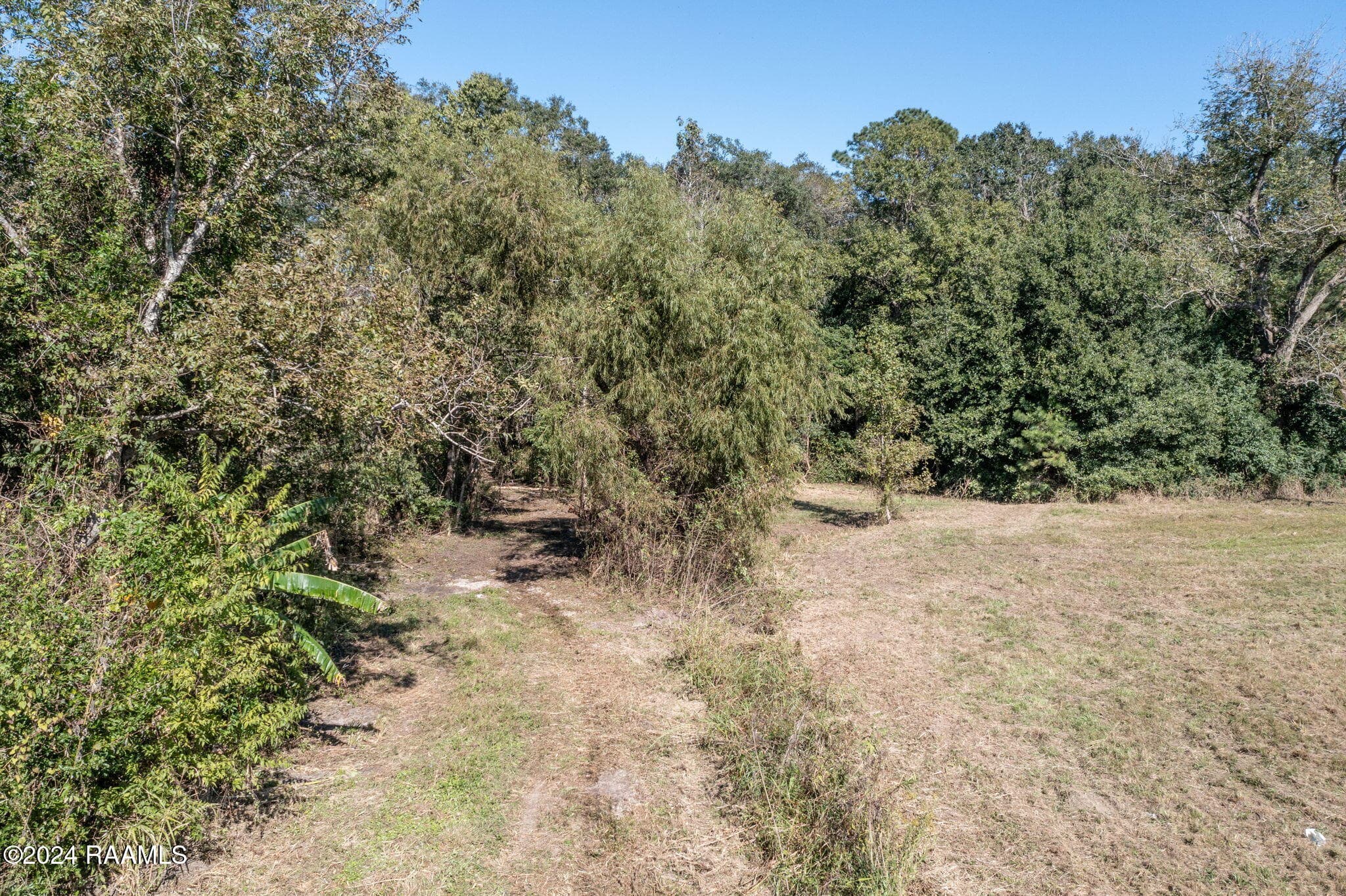 10-web-or-mls-DJI_0337