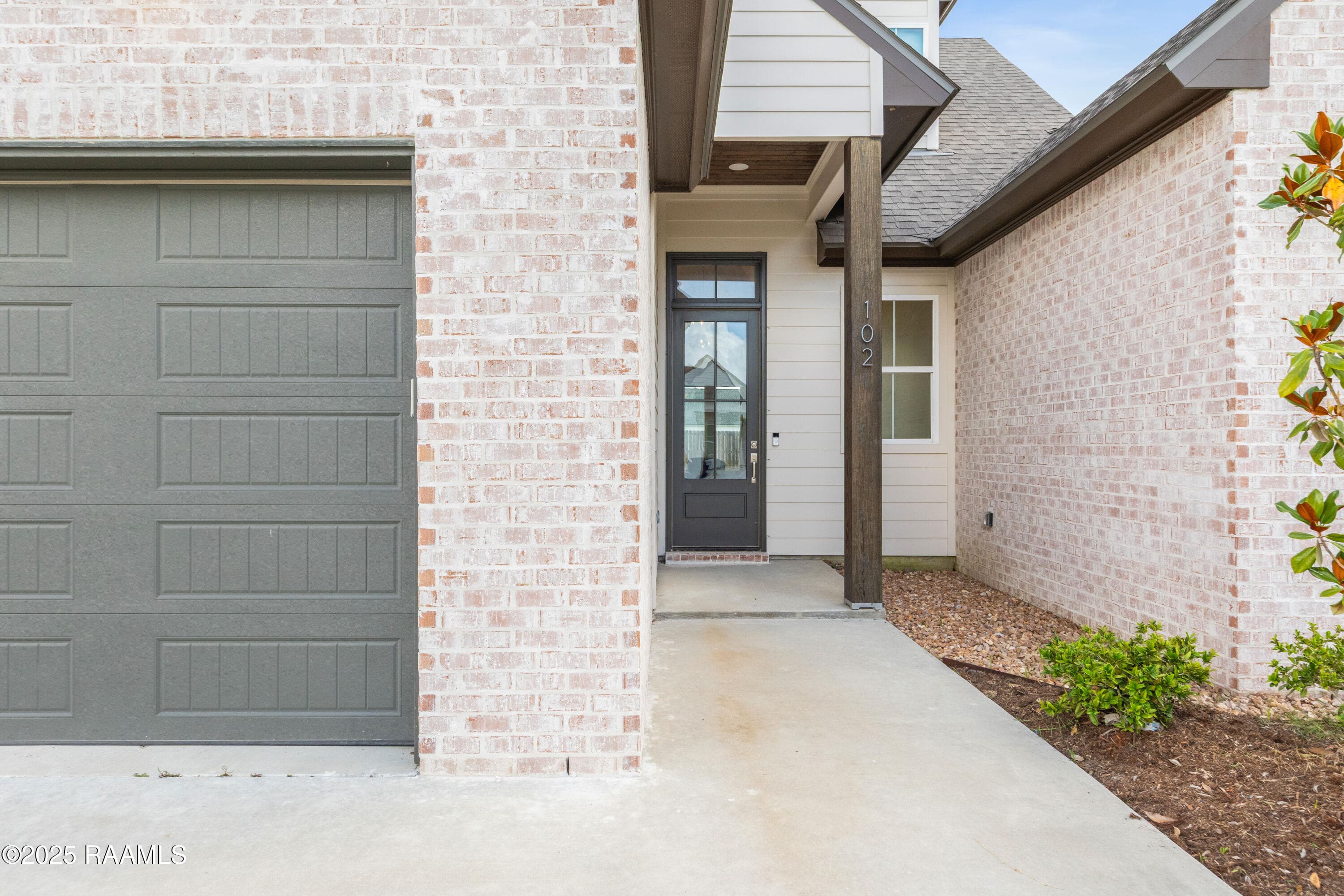 102QueenPalm-4